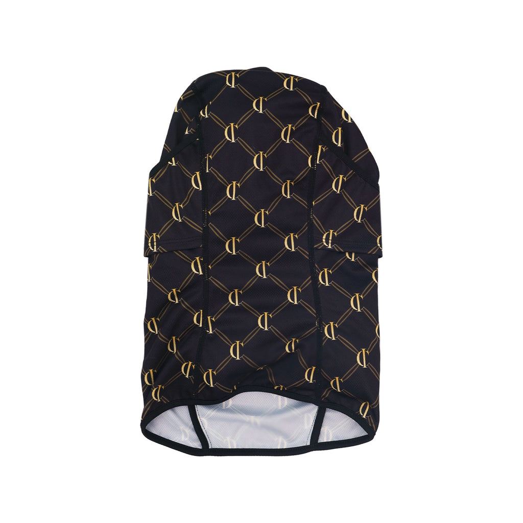 CI print overhead mask